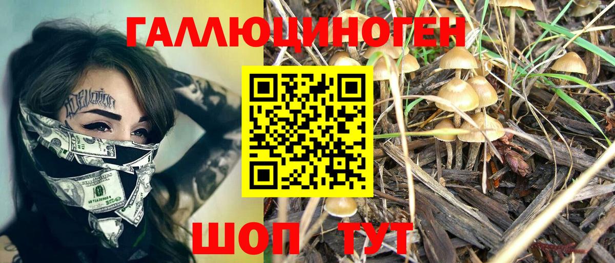 Псилоцибиновые грибы ЛСД  Вход с VPN  Мценск 